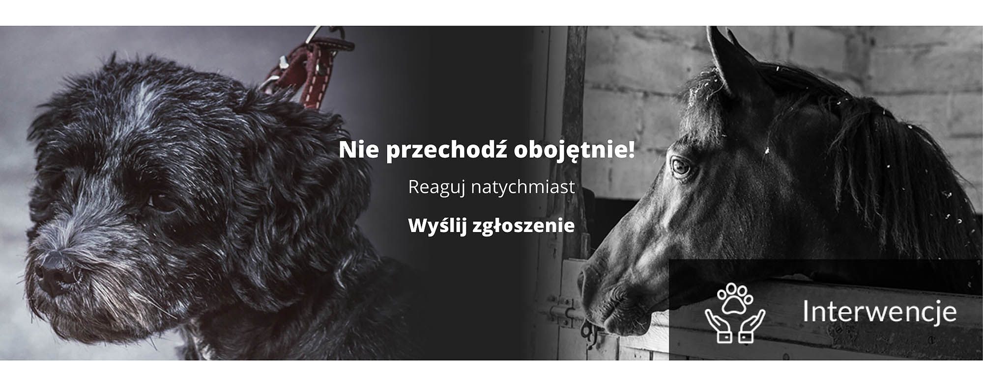 Nie przechodź obojętnie