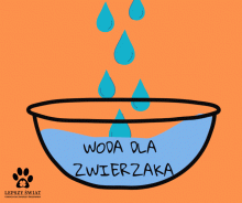 Woda dla zwierzaka